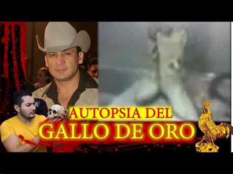 Valentin Elizalde 3gp autopsia